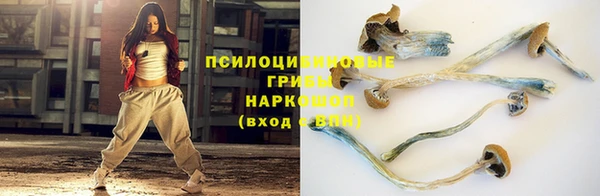 стафф Липки