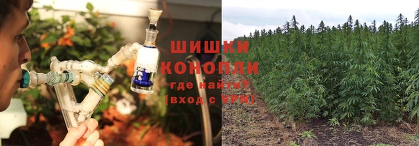 МДПВ Лихославль